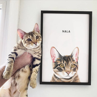 Modern Pet Portrait