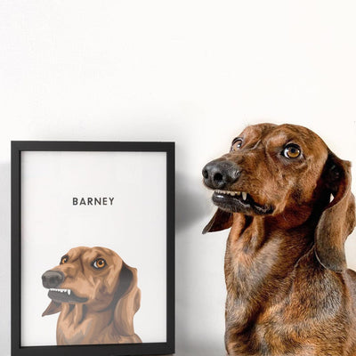Modern Pet Portrait