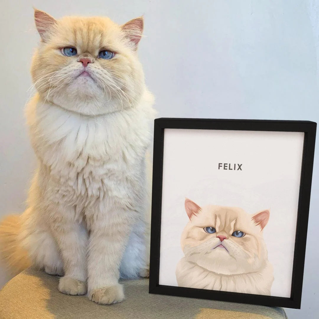 Modern Pet Portrait