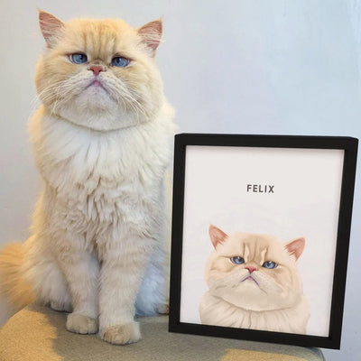 Modern Pet Portrait