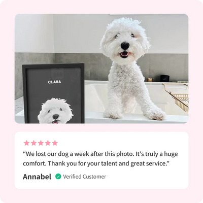 Modern Pet Portrait