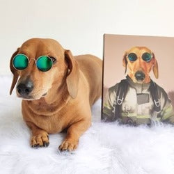imageye___-_imgi_158_Custom_Portrait_for_Pets_8_250x.jpg__PID:159f270e-acd8-4eae-9cfd-f462e54f6449