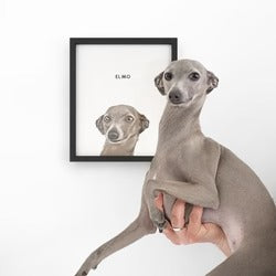 imageye___-_imgi_164_Custom_Portrait_for_Dogs_2_250x.jpg__PID:ceae5cfd-f462-454f-a449-64bfa20d21ec